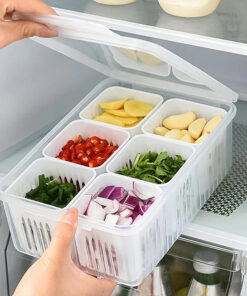6 Grid Fridge Food Storage Organizer | Preserving Freshness of Cut Veggies and Fruits